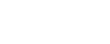 Georgia Make-A-Wish Logo